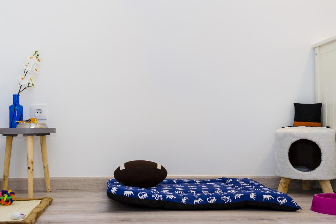 Apartup Viveros Pets Валенсия Экстерьер фото